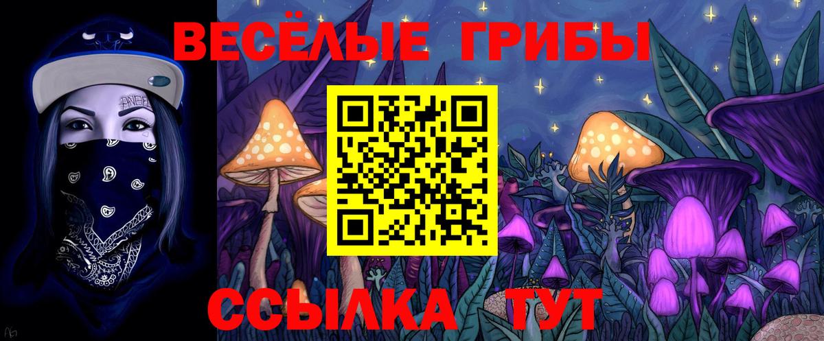 Псилоцибиновые грибы мухоморы Муром